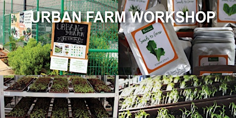 Urban Farm Workshop primary image