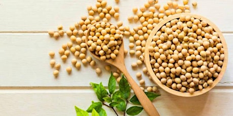 Is Soy Good For You? A Nutrition Webinar Presented by NWH primary image