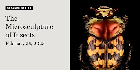 Academy Speaker Series: The Microsculpture of Insects primary image