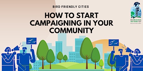 How to Start Campaigning In Your Community for A Bird Friendly City!