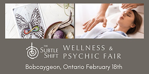 The Subtle Shift Wellness & Psychic Fair
