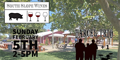 The Darcel Trio (plus 1) at South Slope Wines