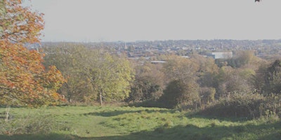 Hinksey Heights Nature Day - guided walk around the Fen primary image