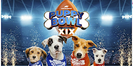 FREE Puppy Bowl Watch Party!