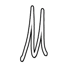 Organizer profile image