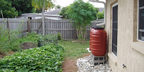 Designing A Rainwater Collection System for Your House