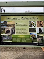 Bird Walk Thru Carburn Park
