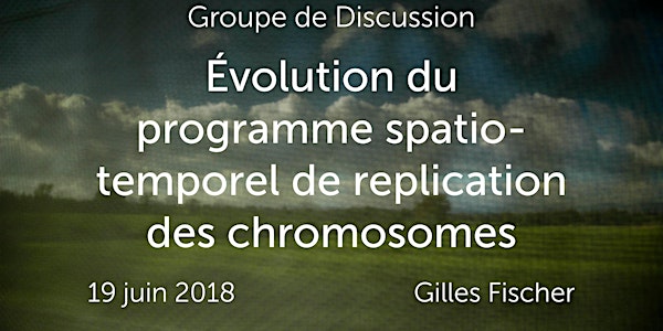 Groupe de discussion sur l’évolution du programme spatio-temporel de replication des chromosomes avec Gilles Fischer