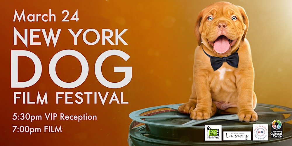 2023 New York Dog Film Festival + Benefit Tickets, Fri, Mar 24, 2023 at  5:30 PM | Eventbrite