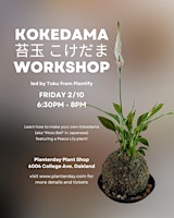 Kokedama Workshop at Planterday led by Toku from Plantify