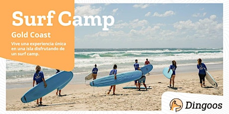 Dingoos Surf Camp - Gold Coast