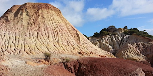 Geology of Hallett Cove - Guided Walk
