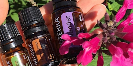 Essential Oils Class For Beginners primary image