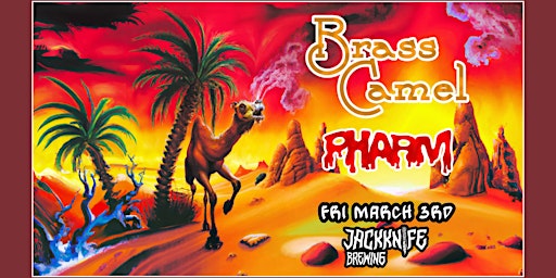 BRASS CAMEL and PHARM live at JACKKNIFE BREWING