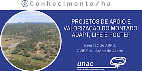 Imagem principal de Workshop "Projetos de apoio e valorização do Montado: AdaPT, LIFE e POCTEP"