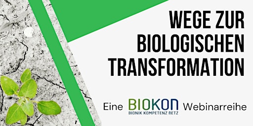Aus der Praxis: Bionik und Nachhaltigkeit in der Produktentwicklung