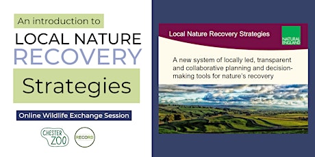 An Introduction to Local Nature Recovery Strategies (LNRS) (online talk)