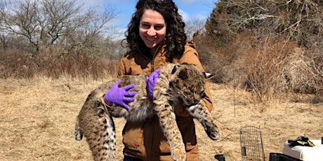 Voices of the Land: Southern RI Bobcat Study