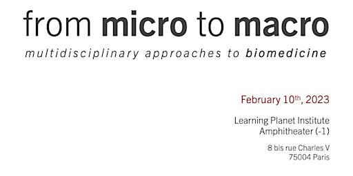 From Micro to Macro: Multidisciplinary Approaches to Biomedicine