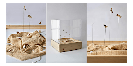 Design, Science and Clothes Moths: Novel Approaches to Wool Recycling