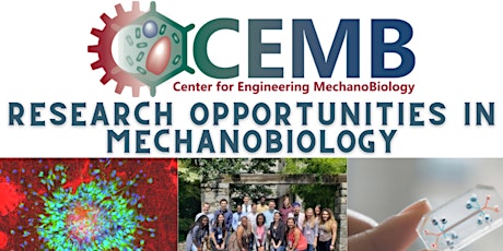 Summer Undergraduate Research Opportunities in MechanoBiology Session