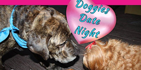 Doggie Date Night at Landinis Pizzeria in Support of Labs & More Rescue