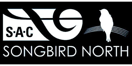Vancouver's Songbird North #123