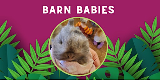Barn Babies 2023