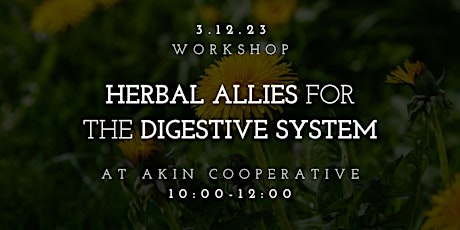 Herbal Allies for the Digestive System