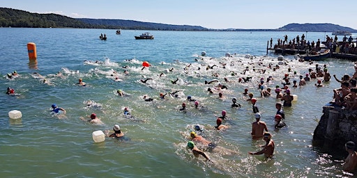Image principale de Insel-Ligerz-Schwimmen - 12. August 2023