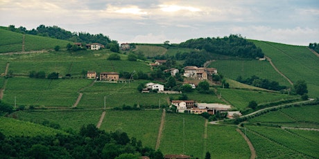Piedmont: From Barolo to Moscato