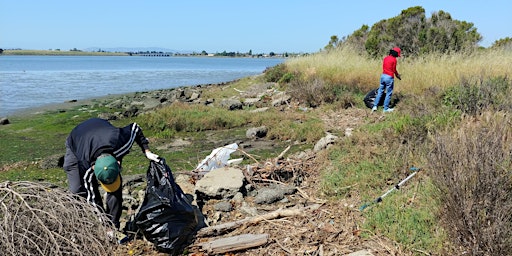 Imagem principal do evento Monthly MLK Shoreline Cleanup