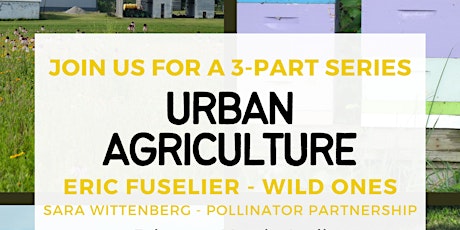 Urban Agriculture – Attracting Beneficial Insects with Native Plants
