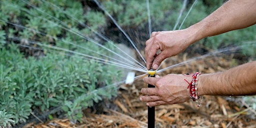 Hauptbild für Comprehensive Irrigation for California Native Plants with Tim Becker