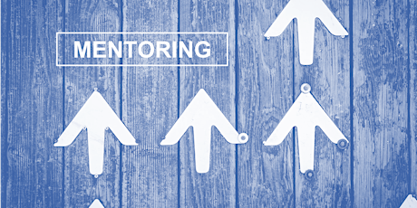 Careers, Mentoring and Internships: Mentoring discussion