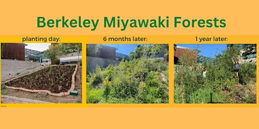 How to Plant a Miyawaki Forest at your school using the grant money