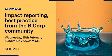 Impact reporting, best practice from the B Corp community