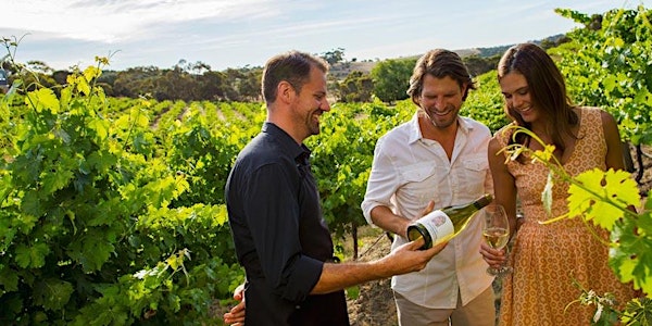 Mexico Wine Three Day, Two Nights Baja Gourmet and Winery Tour