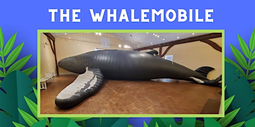 The Whalemobile
