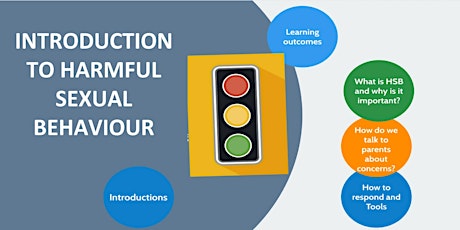 Introduction to Harmful Sexual Behaviours (HSB) in EY's Tier 1(DATE TBC) primary image