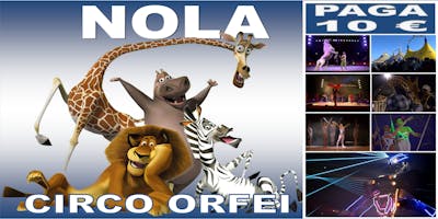 CIRCO ORFEI A NOLA, SCONTI E CALENDARIO CIRCO ORFEI A NOLA, SCONTI E CALENDARIO