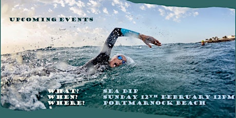Sea Dip Portmarnock - February 12th - 12pm