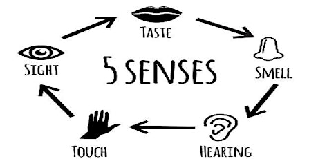A Sensory Experience: for Students primary image