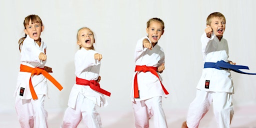 Intro to Pre-K Karate