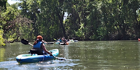Guided Paddle along the Cosumnes River