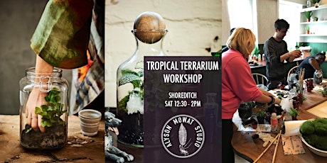 TROPICAL TERRARIUM WITH TOOL MAKING - Group class primary image