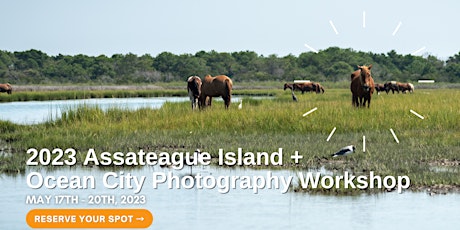 Assateague Island + Ocean City Photography Workshop