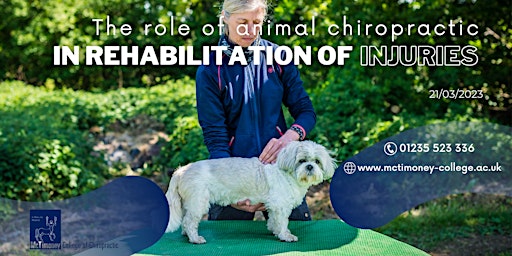 The role of animal chiropractic in rehabilitation of injuries