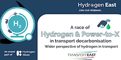 A race of  Hydrogen and Power-to-X  in transport decarbonisation