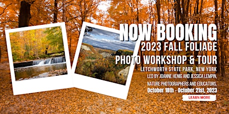 2023 FALL FOLIAGE Photo Workshop and Tour | Letchworth State Park, New York